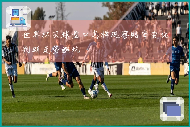 世界杯买球盘口怎样观察赔率变化判断走势避坑