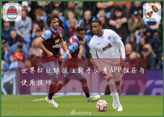 世界杯让球投注新手必看APP推荐与使用技巧