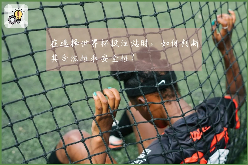在选择世界杯投注站时，如何判断其合法性和安全性？