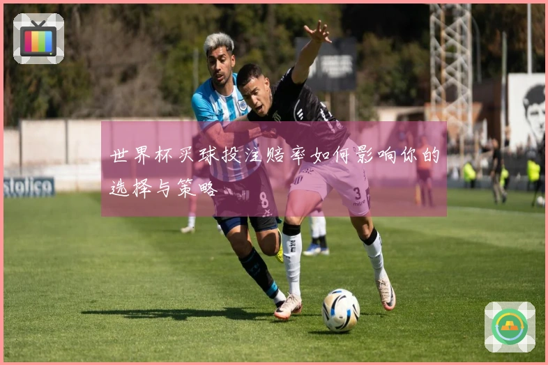 世界杯买球投注赔率如何影响你的选择与策略