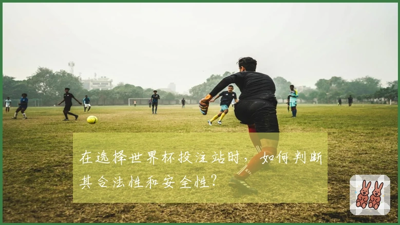 在选择世界杯投注站时，如何判断其合法性和安全性？